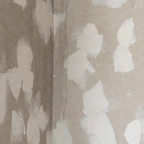 Покраска штукатурки в Казахстане миниатюра 2